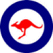 RAAF Roundel - Bungle 1